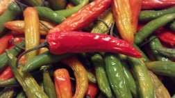 Peppers1a